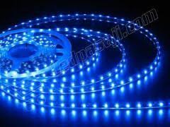 Serit Led 3528 Tek Cipli Mavi Ic Mekan 5 Metre Mavi Ic Mekan Led Projektor