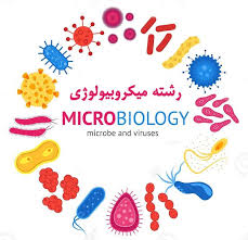 ‫معرفی رشته میکروبیولوژی‬‎