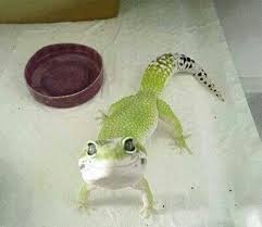 Pin de danilo marconi en sorrisi ...