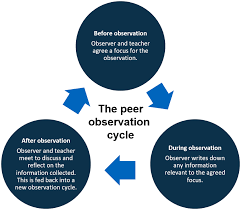 Getting Started With Peer Observation