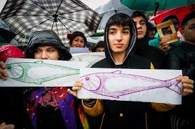 Resultado de imagen de manifestazione sardine STUDENTI