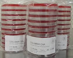 The sheep blood in columbia cna agar also makes the media differential different bacteria will show different red blood cell hemolysis patterns when grown on agar that contains sheep's blood columbia cna agar results 1. Pure Micro Media Columbia Cna Agar With 5 Sheep Blood Buy Online In Bahamas At Bahamas Desertcart Com Productid 29627022