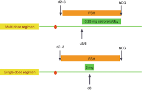 Image result for GnRH Stimulation Test