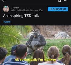 Monky Memes Bann Now Okbuddyretard