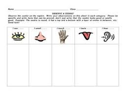 Observe A Cookie Science Process Skills Preschool Science Teaching Science
