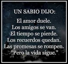Pin De Alma J En Sabiduria El Amor Duele Citas Citables La Vida Sigue