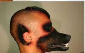 Brazilian Man Gets A Dog Face By Plastic Surgery Dogman That Is A Real Dogs Nose Again Wtf Dog Face Plastic Surgery Plastic Surgery Photos