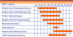 Lust Und Frust Zeitlicher Ablauf Der Entwicklung Bei Jungen