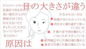 左右で目の大きさが違う 自分で揃える方法 お顔の整体師 戸塚哲春 note 目 顔 証明写真