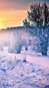 Take your makeup wherever you go with your choice of makeup pouches in three sizes. Winter Snow Forest Trail Iphone 5s Wallpaper Download Iphone Wallpapers Ipad Wallpapers Winter Wallpaper Winter Wallpaper Hd Iphone 6 Wallpaper Backgrounds