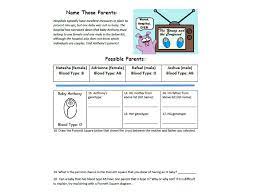 Amoeba sisters video recap introduction to cells worksheet. Multiple Alleles Ppt Download