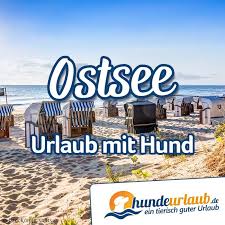 Fur Den Urlaub Mit Hund An Der Ostsee Hier Hunderte Hundefreundliche Ferienwohnungen Und Ferienhauser Hundeurlaub De Bietet Eine Sehr Grosse Anzahl Von Untersc In 2020