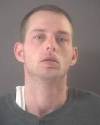 Spring Lake's Brian Plowman gets long prison terms for Muskegon County home  invasions