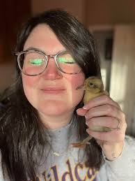 Duckling housing for 2 in a 77 gallon box?