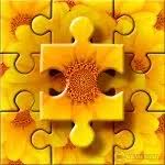 Send puzzle postcards to friends, puzzle of the day Jigsaw Puzzles Classic Game Download And Play Free On Pc