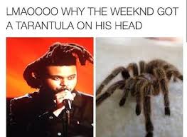 When the weekend arrives its the best time to indulge yourself. 25 Best Memes About The Weeknd S Hair Gallery