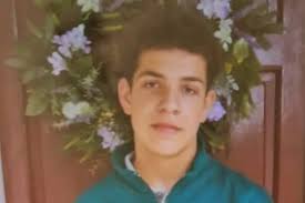 Just one Animal Charity gets almost 400 dogs to rehome since Christmas as  families change minds