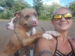 I know this a long shot, but I'm trying this before the humane society. I  have had this cat for 4 years since he was a kitten. He's very sweet,  cuddly, etc.