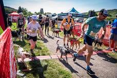 Trail Dog Run