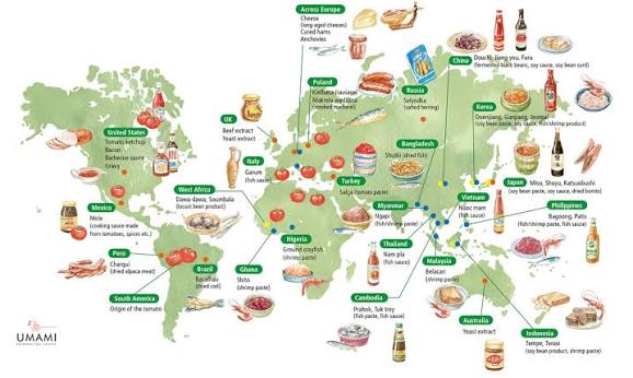 Umami Culture around the World | Umami Information Center