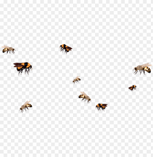 Maybe you would like to learn more about one of these? Download Bee Drawing Aesthetic Bee Png Transparent Png Free Png Images Toppng