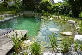 Home Schwimmteich Naturschwimmbecken Naturschwimmbader