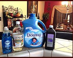 Pin By Brandy Iom Madd Hall On Martha Diy Carpet Cleaner Carpet Cleaning Hacks Diy Carpet