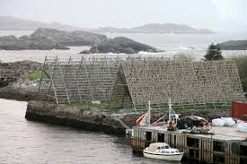 Insiders are officers, directors, or significant investors in a company. Torrfisk Skrei Das Gold Der Lofoten Svolvaer Hauptstadt Der Lofoten Mapio Net