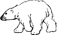 This post contains affiliate links for your convenience. Polar Bear Polar Bear