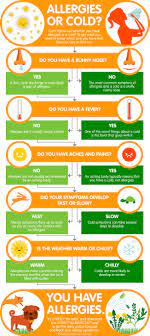 Allergies Or Cold Allergy Guide Zyrtec Cold Or Allergies Allergies Healthy Mind
