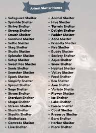 Pet owners exposed to domestic violence can seek emergency shelter with their companion animals through domestic violence solutions (dvs) and c.a.r.e.4paws arranges for immediate, anonymous foster care for the pets. 500 Catchy Animal Shelter Names Ideas And Suggestions Namesbee
