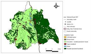 Image result for Scleria lateritica