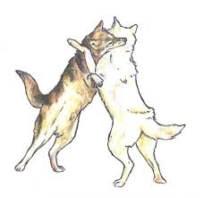 Wolf pack teams up to fight off intruder, prodigy get your fight on run with the wolves, wolves war, we are wolves fight and kiss, twilight wolf scenes, gdw wolves rain fight pc, alpha omega wolf. Wolves Fighting By Ara Tun On Deviantart