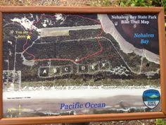 Order online tickets tickets see availability directions. 18 Nehalem Bay State Park Ideas Nehalem Bay State Parks Park