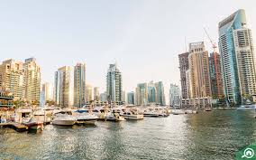 Freezone Vs Freehold Property Areas In Dubai Mybayut