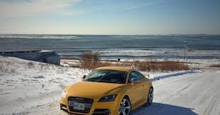 Image result for Scuba Blue 2015 TTS