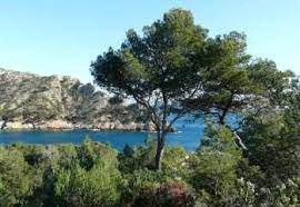 This climate is found in the mediterranean basin, as well as in sw california, sw australia, sw south africa and. Bab 2 Iklim Dan Tumbuh Tumbuhan Semulajadi Bab 2 Iklim Dan Tumbuhan Semula Jadi Setelah Selesai Bab Ini Anda Akan Dapat Pdf Free Download