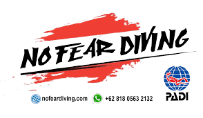 Learn how to make your diving logo tell your brand's story. No Fear Diving Logo Amed Ba At Usat Liberty Wreck Indonesia With Padi No Fear Diving Scuba Amed Bali By Oliver Radosav