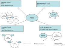 Image result for what treatment options are available to remove nom from water