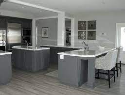 Grey floors won't make a statement but will delicately. Pin By Diza Design On Grey Hardwood Floors Grey Wood Floors Kitchen Grey Flooring Grey Wood Floors