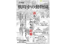 Yahoo!ニュース - News update