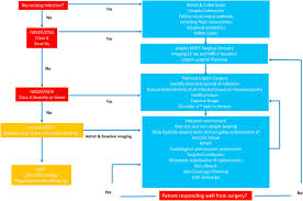 Image result for IDSA Diabetic Foot Wound Classification