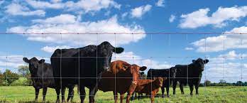 There are 8 suppliers who sells red brand barbed wire on alibaba.com, mainly located in asia. Agricultural Wire Fencing Materials And Tools Red Brand Fence