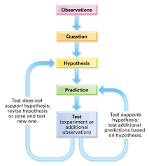 Scientific Method Flow Chart Hypothesis Based Science