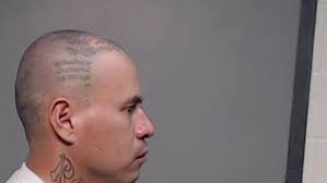 Donna man, 34, pleads guilty to murder, sentenced to 20 years in prison