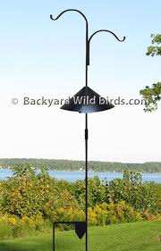 Bird Feeder Pole With Baffle Shepherd Staff Bird Feeder Pole At Backyard Wild Birds Bird Feeder Poles Bird Feeders Squirrel Baffle