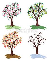 Pin By Mandi Malboeuf On Gifts Tree Drawing Apple Tree Drawing Apple Tree