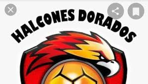 Patike u 3 boje 36 do 41. Halcones Dorados Home Facebook
