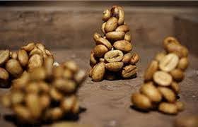 Il caffè più costoso del mondo. Il Miglior Caffe Del Mondo Fixcoffeeco Com