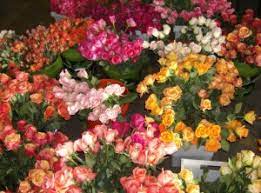 Atlanta flowers delivery delivers flowers anywhere in the city and beyond. About Halls Atlanta Wholesale Florist Inc